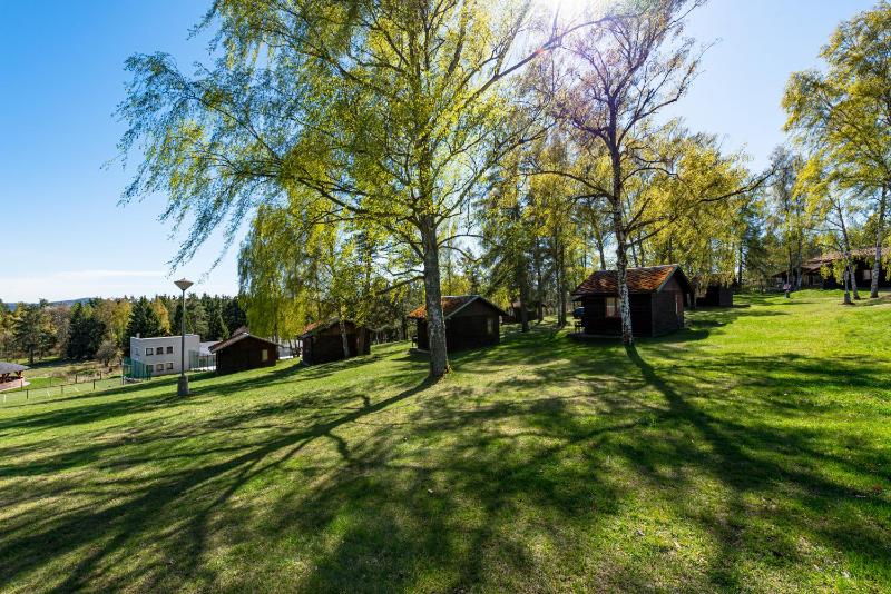 CAMP VARY - Vítkova Hora - image 29