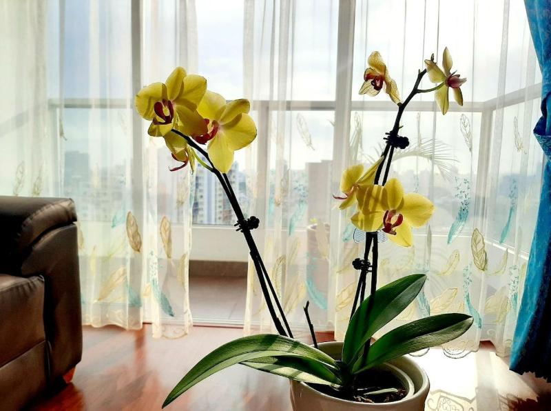 United Family Apartment - image 14