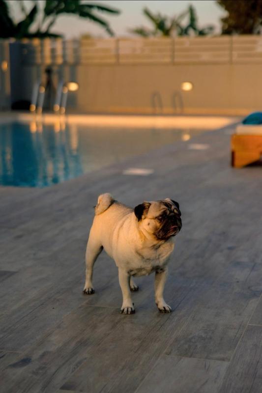 Diamond Hlios - Luxury Villa Maria - image 36