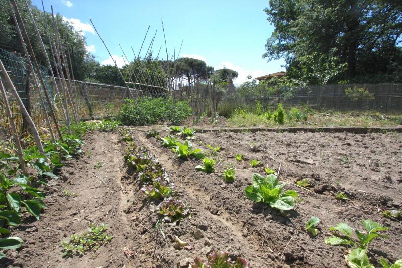 Stanza del Cerro - image 29
