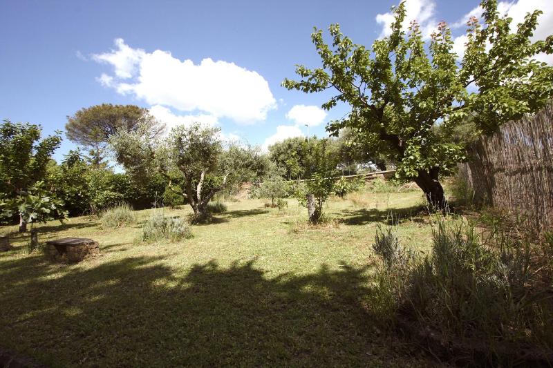Stanza dell'Ulivo - image 12