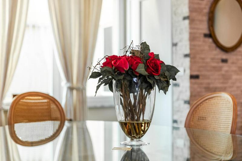 Charming 1BR Apartment in Shkodër City Center - image 15