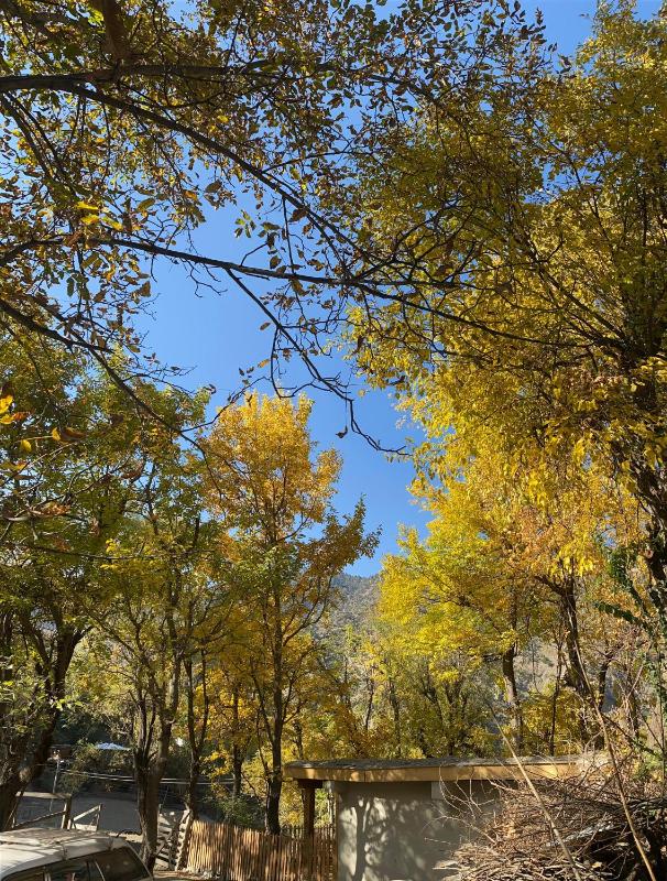 Kalash Echo Lodge - image 9