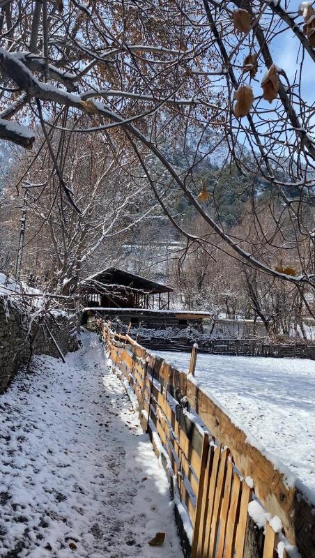 Kalash Echo Lodge - image 5