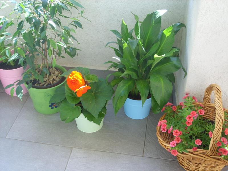 Two-Bedroom Apartment with Sea View and Patio image 4