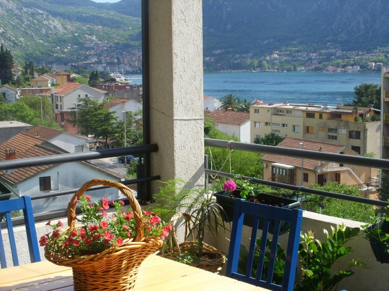 One-Bedroom Apartment with Shared Terrace image 3