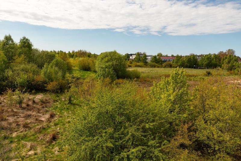 Rezydencja De Rosse - image 21