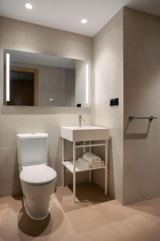 Apartamentos Sorolla House - image 10