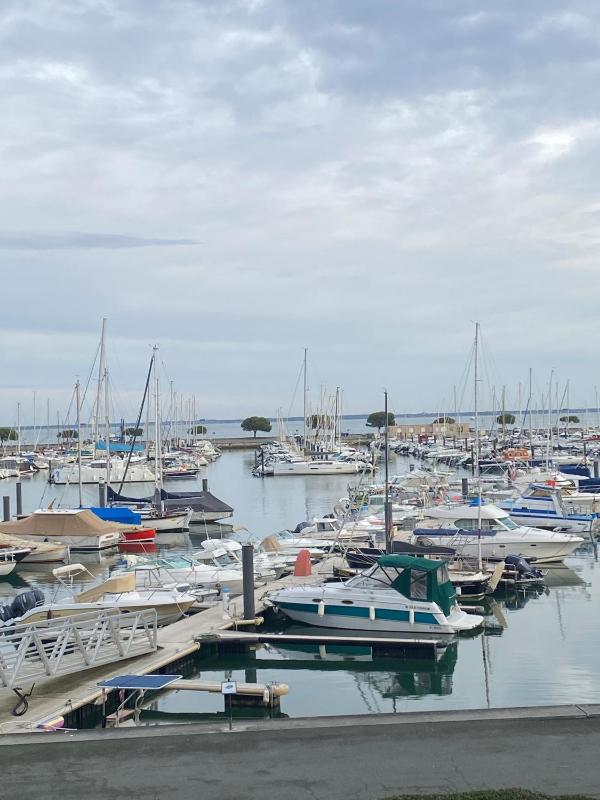 New O'Bassin - Bassin d'Arcachon - image 27