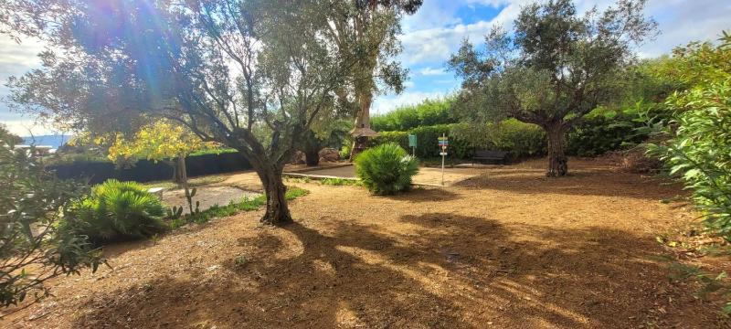 Bright villa with pool in Grimaud - image 4
