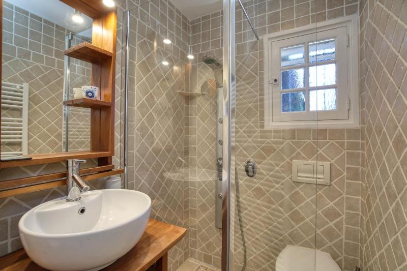 House with garden and jacuzzi - near city center - image 33