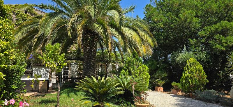 House with garden and jacuzzi - near city center - image 24