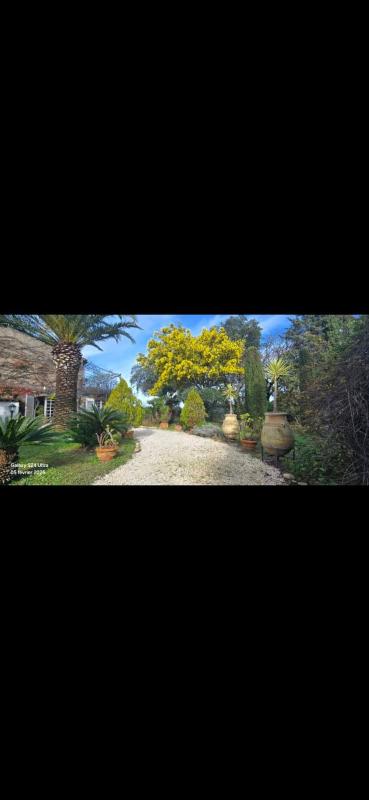 House with garden and jacuzzi - near city center - image 21
