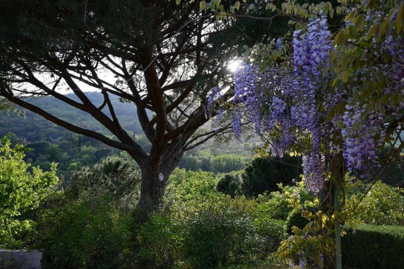 Villa for 10 Pool 5 Suites Grimaud - image 27
