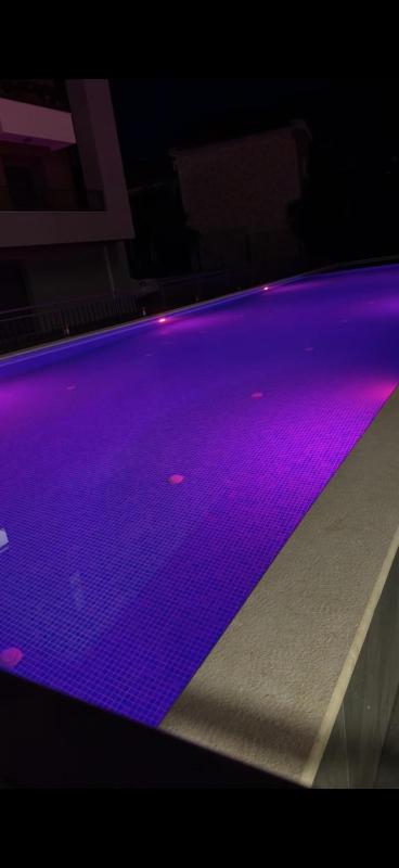 Mountain View Pool Apartment - image 4