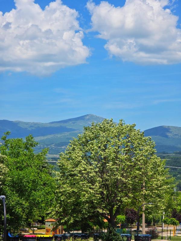 Apartman Relax Green Hill - image 4