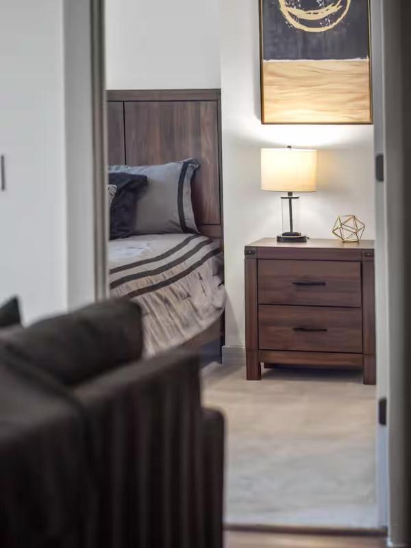 Victory Park Skyline Suite Fast Wifi - image 4