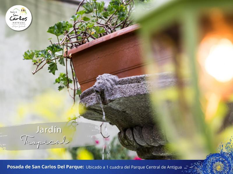 Posada de San Carlos del Parque - image 6
