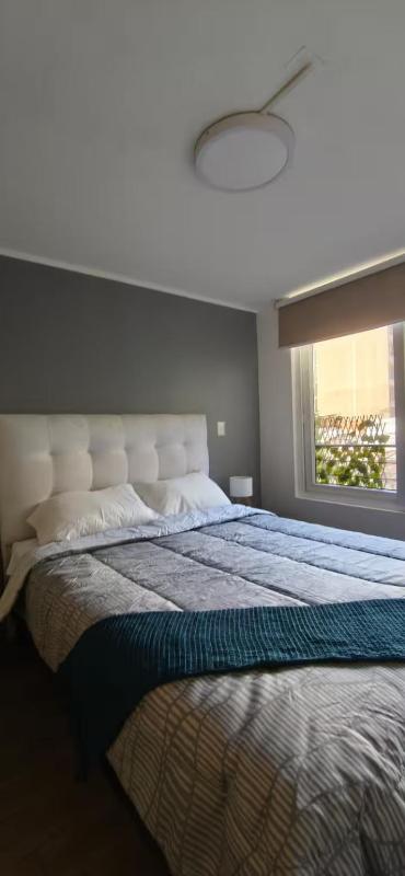 Quiet apartment in downtown Santiago - image 14