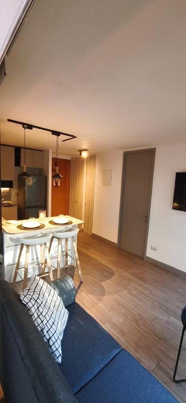 Quiet apartment in downtown Santiago - image 10