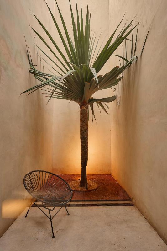 Casa Carmen Reforma - image 7