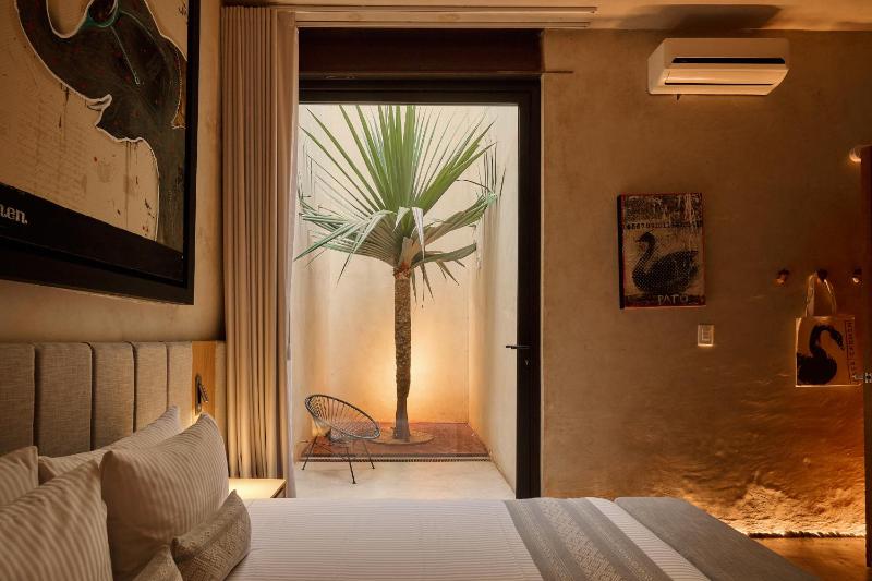 Casa Carmen Reforma - image 12