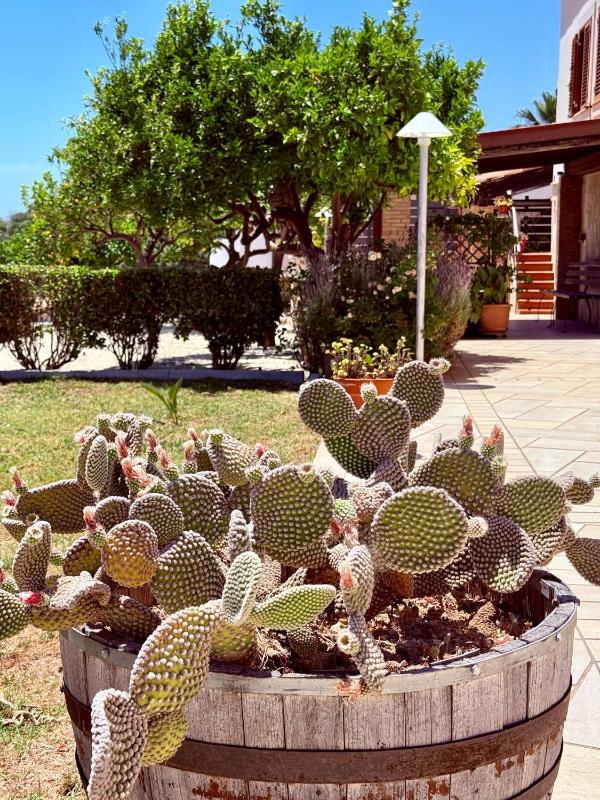 Villa Mara Rooms - image 24
