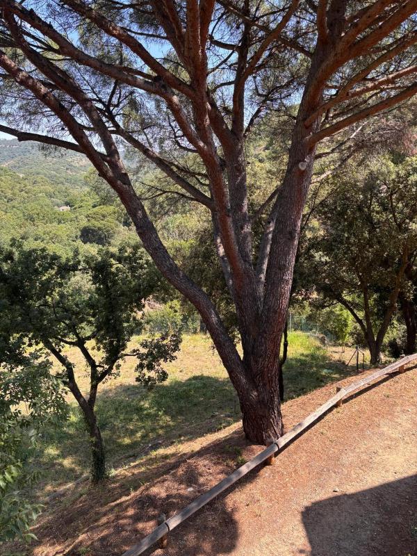 Maison de charme à Grimaud Terrasse clim et parking - image 5