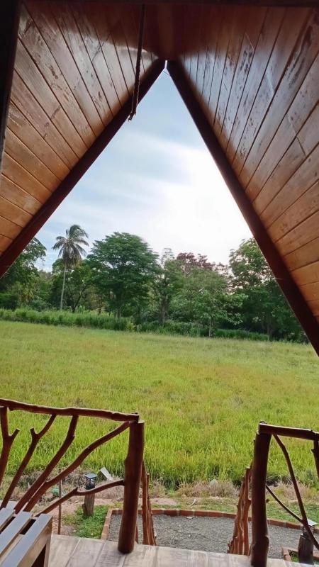 WILD CABANA Habarana - image 16