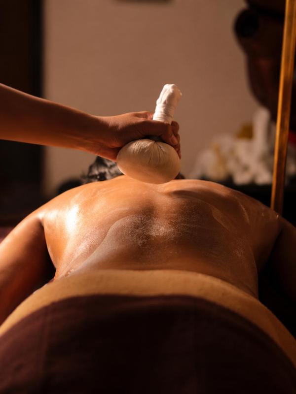 Sattvic Ceylon- Wellness Homestay - image 7