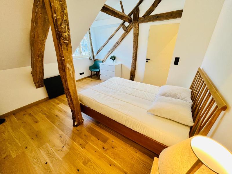 Le BIG duplex hypercentre 4 chambres spacieux - image 25