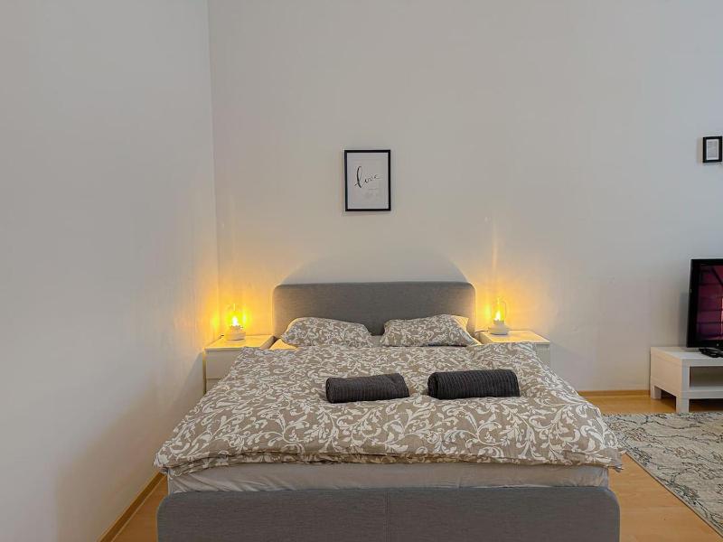 Wonderful 2 bedrooms Flat near to Hauptbahnhof - image 5