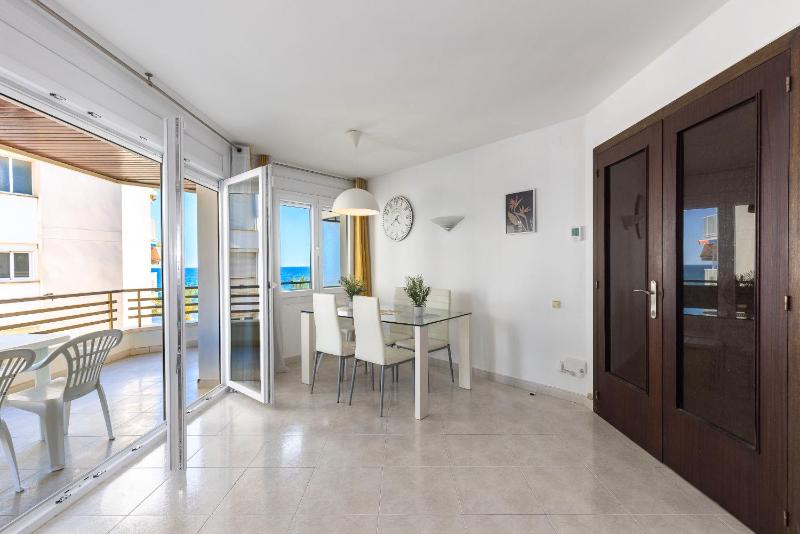 Capote Family Beachfront Rentalmar - image 25