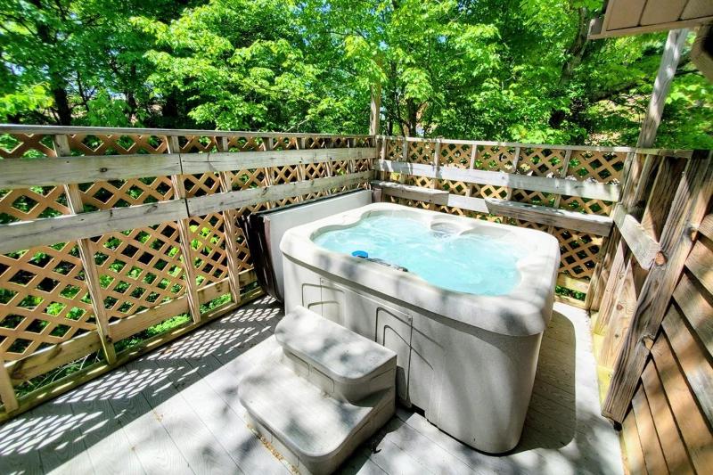 Mountain Ridge chalet - image 11