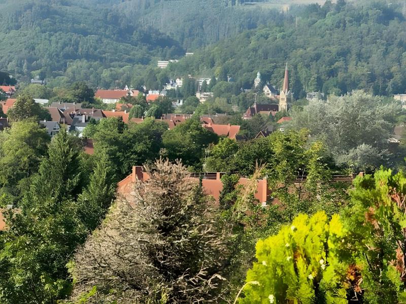Terrassenappartment Im Harz - image 5