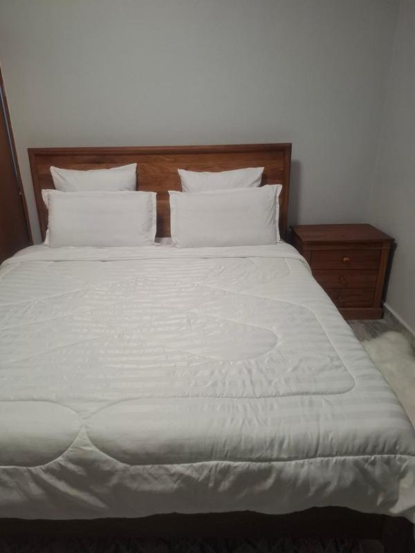Aichi Apartments - Near Granddaddy's - image 14
