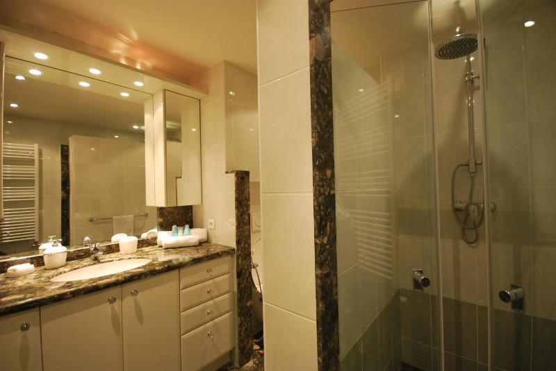 1 Bedroom Apartment - Les Jardins de la Croisette - image 16