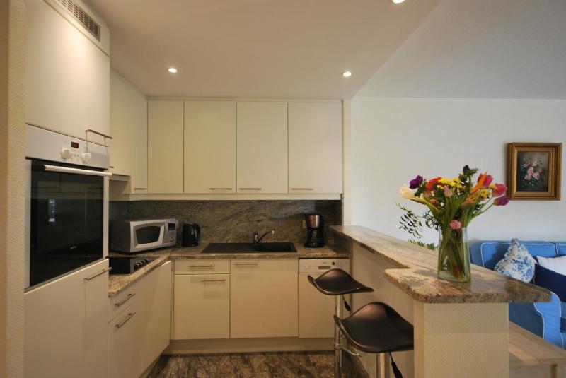 1 Bedroom Apartment - Les Jardins de la Croisette - image 5