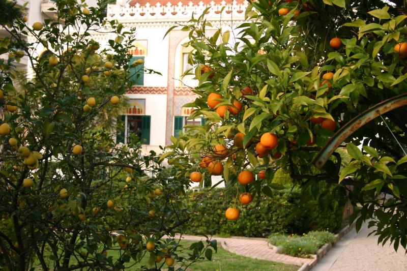 Villa Belle Rive - image 18