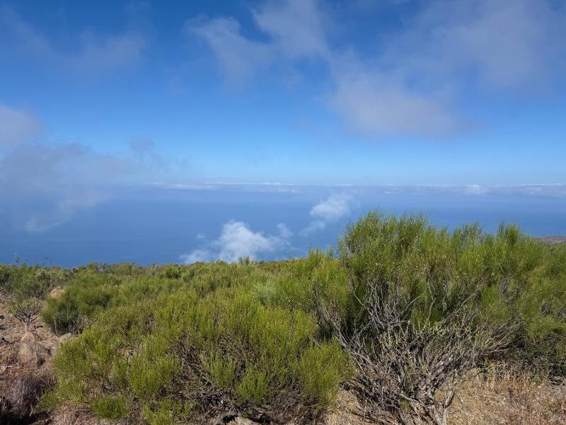 Gigantes View Studio - image 17