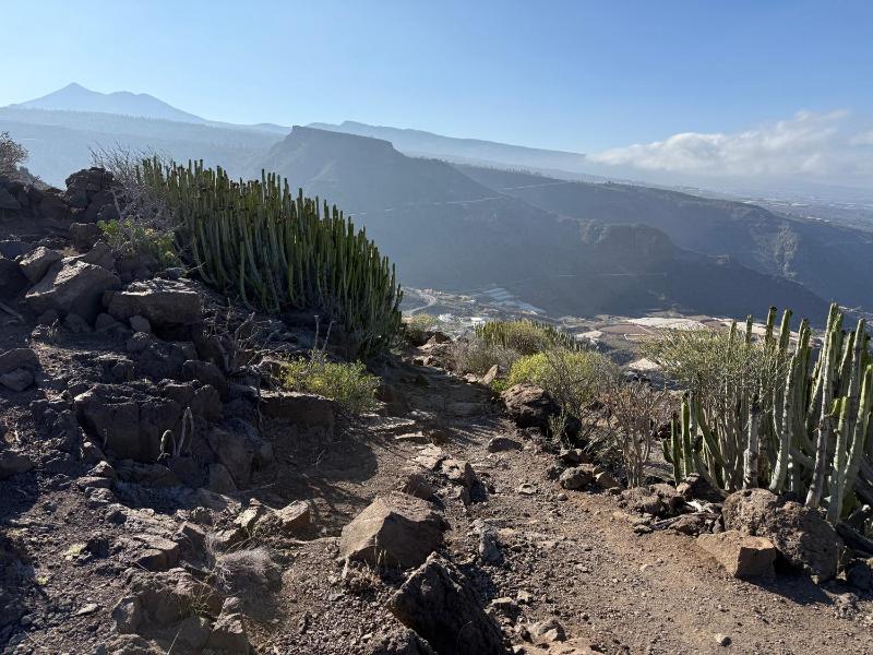 Gigantes View Studio - image 24