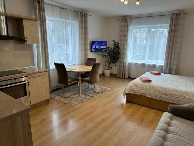 Apartamentai šalia baseino - image 15