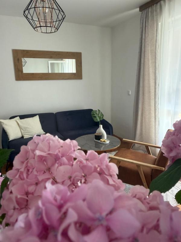 Mama Leone Mostar- Cozy Apartment - image 7