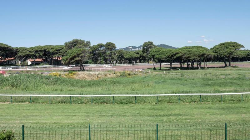 Les Stoechades - image 36
