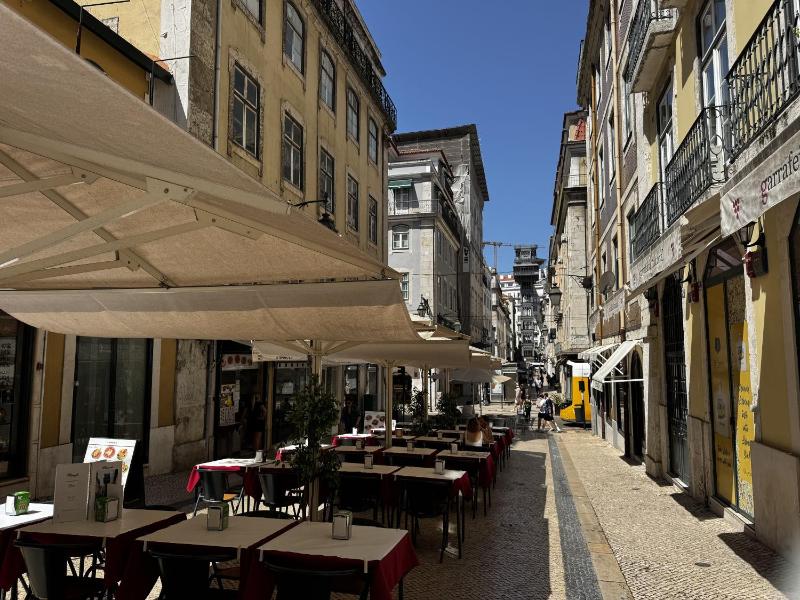 Lux Old Town - image 16