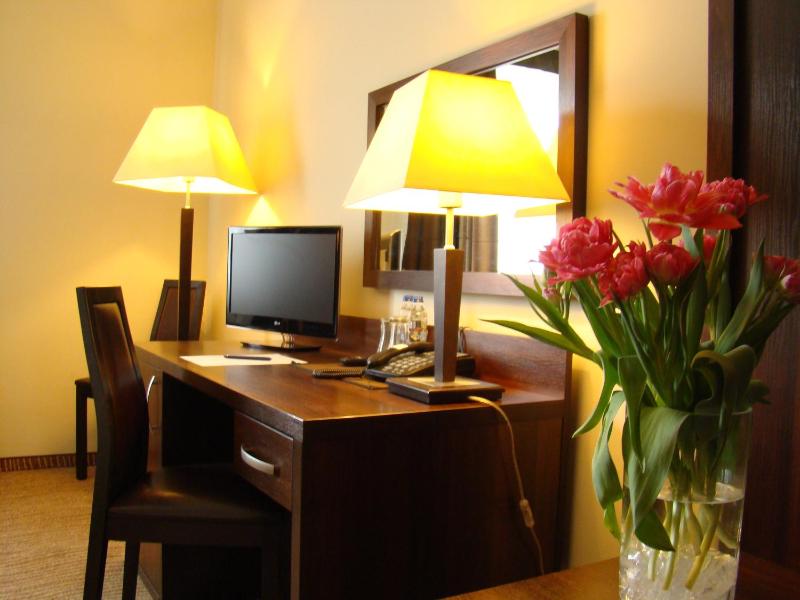 Business Double Room image 4