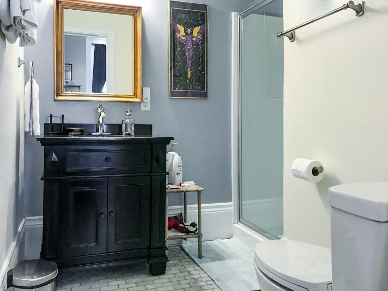 Deluxe King Suite image 4