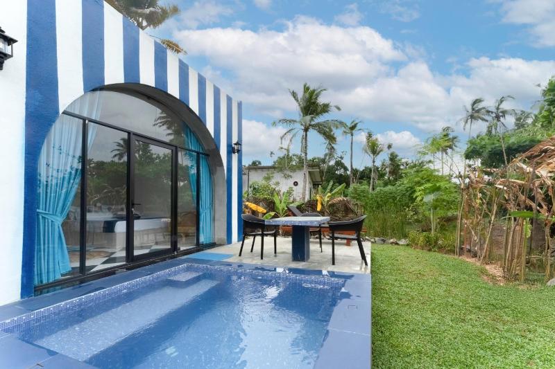 The black monkey villa - Private pool - image 28