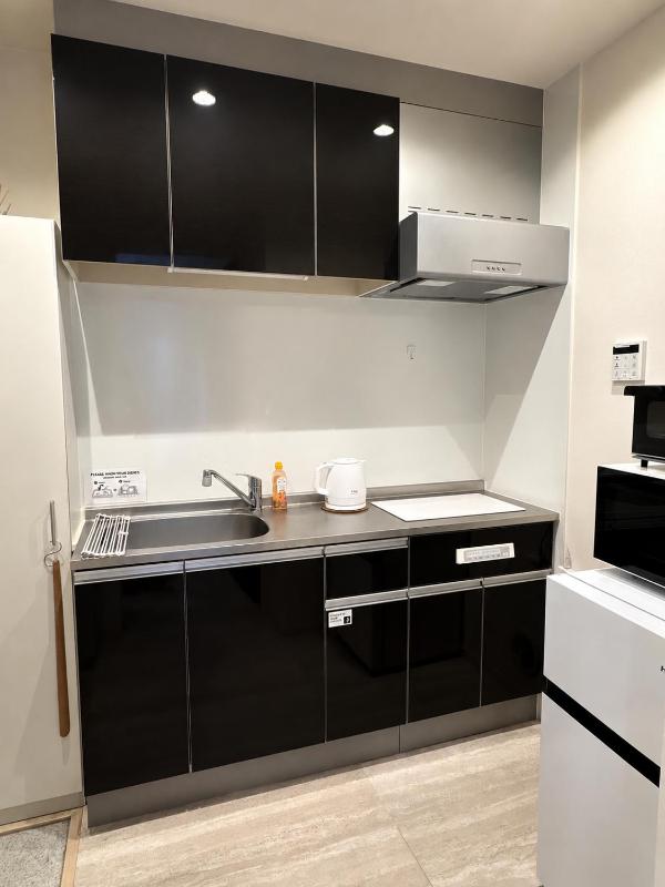 Capital Shimbashi 301 2 bedroom - image 16