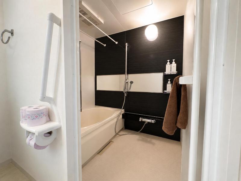 Capital Shimbashi 301 2 bedroom - image 15